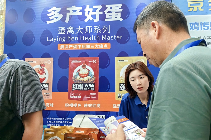 ����̳���ӹ�����ҳ�������ݴ�ʦϵ���ܹ�ע