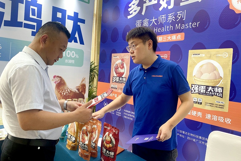 ����̳���ӹ�����ҳ�������ݴ�ʦϵ���ܹ�ע