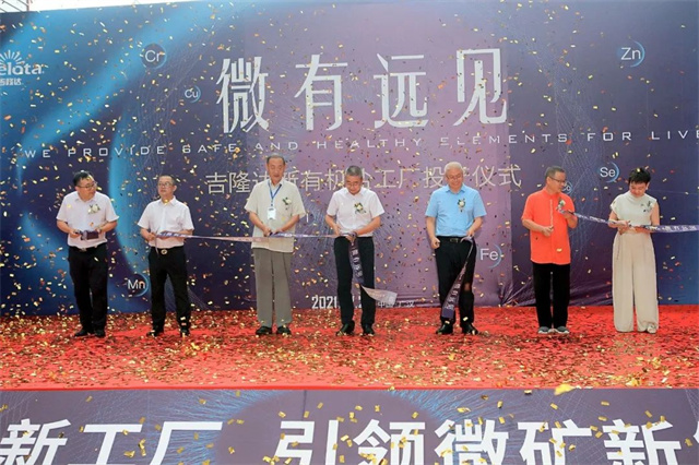 ���ӹ�����ҳ