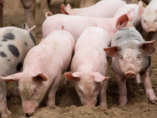 �＾������Ҫע��ʲô���������ƺ���Ҫ��һ��Ҫ�������ĵ�