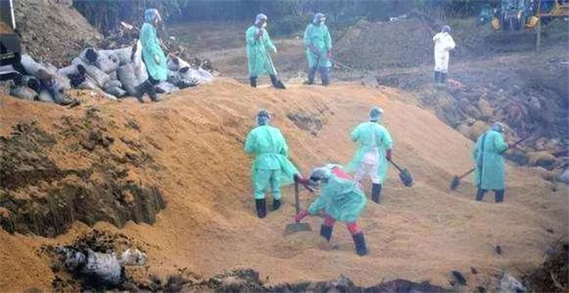 ���������������