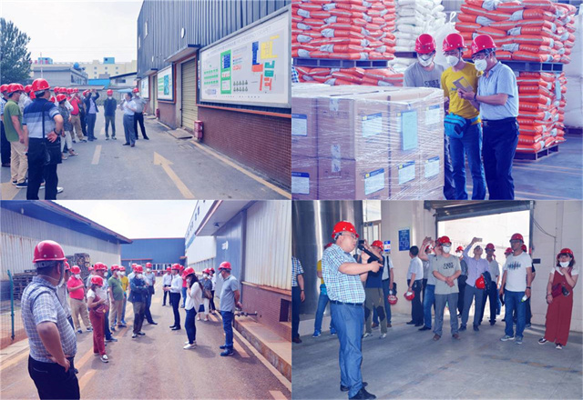 ���ӹ�����ҳ΢��Ԫ�ؼ�����Чɳ��