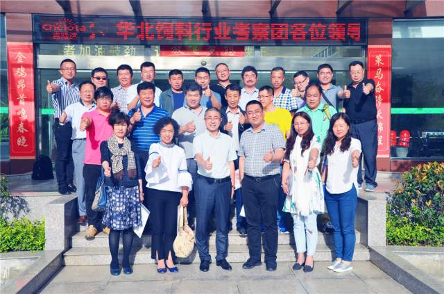 ���ӹ�����ҳ΢��Ԫ�ؼ�����Чɳ��