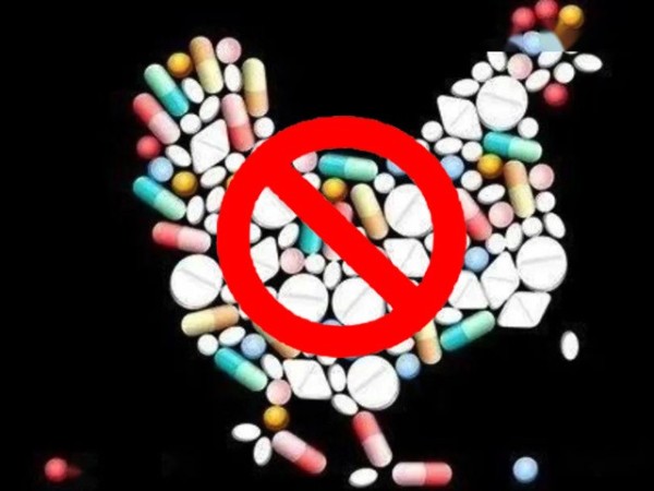 ��������������ϲ�ǲΰ룻�����Ż��������ƽ�������������