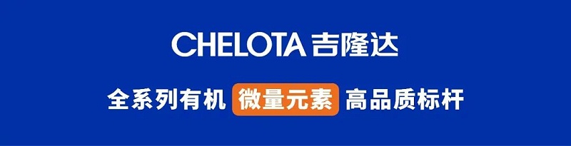 ���ӹ�����ҳ����