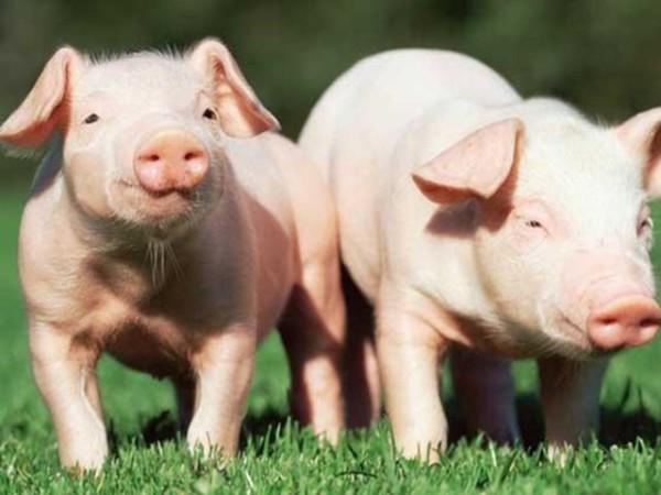 �ʰ���������������ʹ����ʲô�ô����б�Ҫȫ�����������������