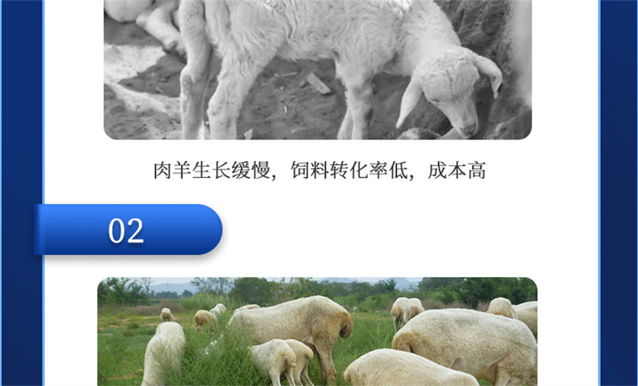 ���ӹ�����ҳ�������������Ӽ��������Ʒ����