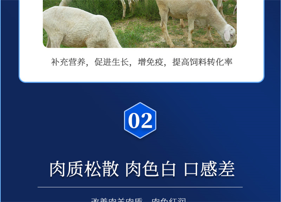 ���ӹ�����ҳ�������������Ӽ��������Ʒ����