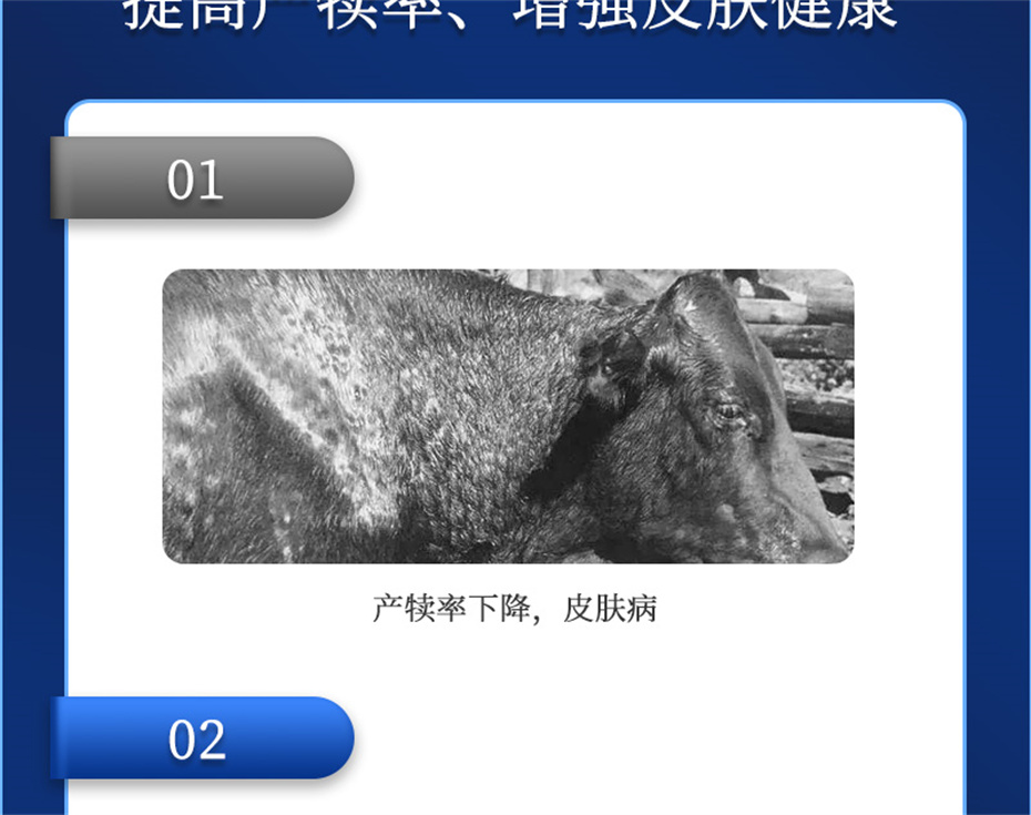 ���ӹ�����ҳ����ţ���������Ӽ�����Ѫţ���Ʒ����