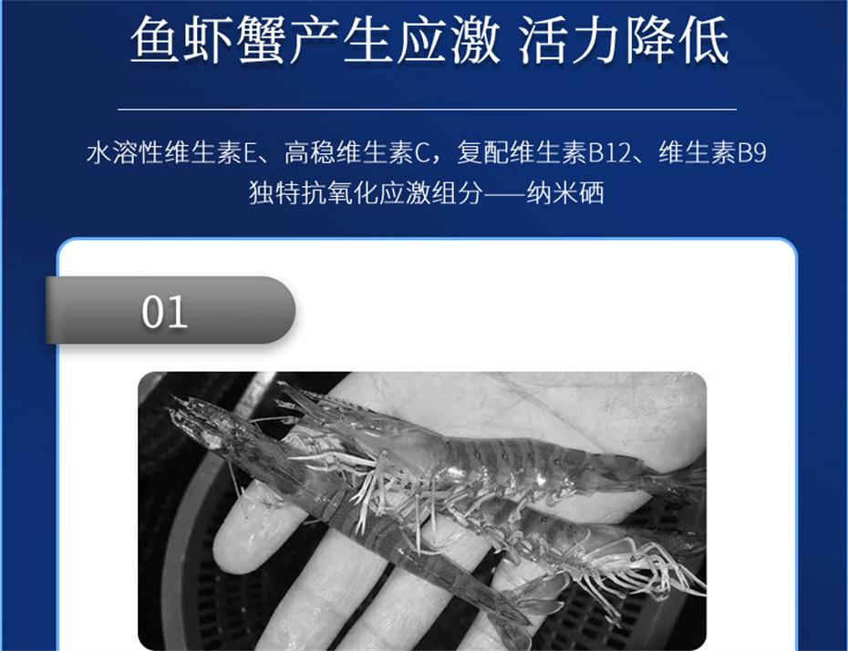 ���ӹ�����ҳ����ˮ���������Ӽ�����1�Ų�Ʒ����