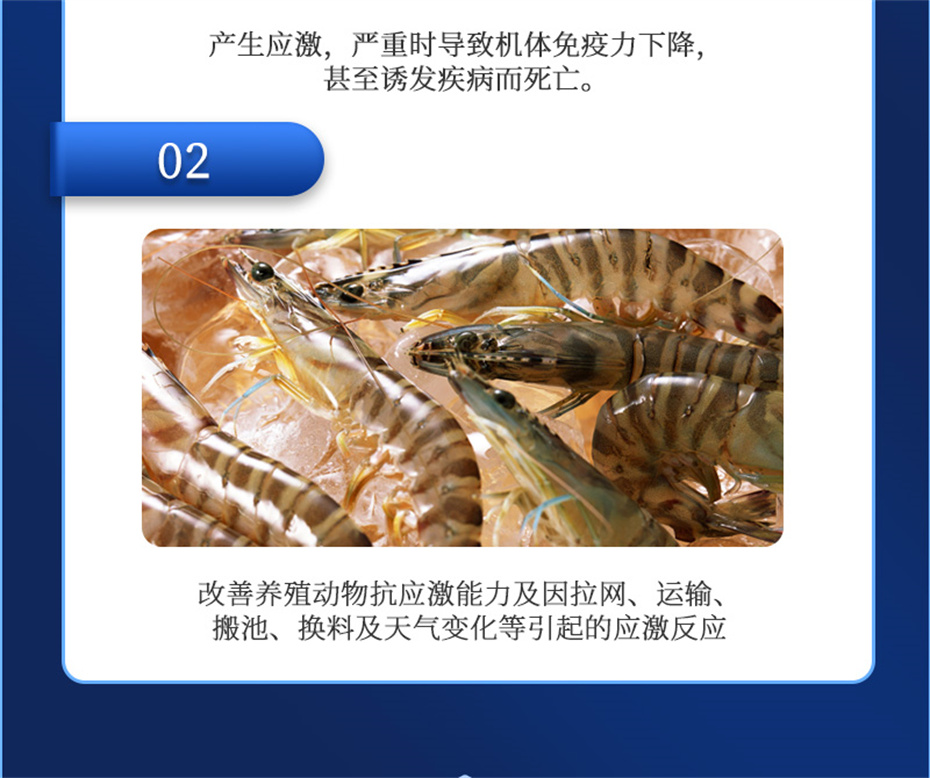 ���ӹ�����ҳ����ˮ���������Ӽ�����1�Ų�Ʒ����