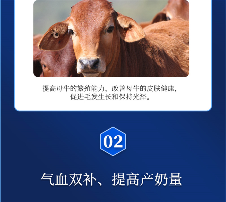 ���ӹ�����ҳ����ţ���������Ӽ�����Ѫţ���Ʒ����