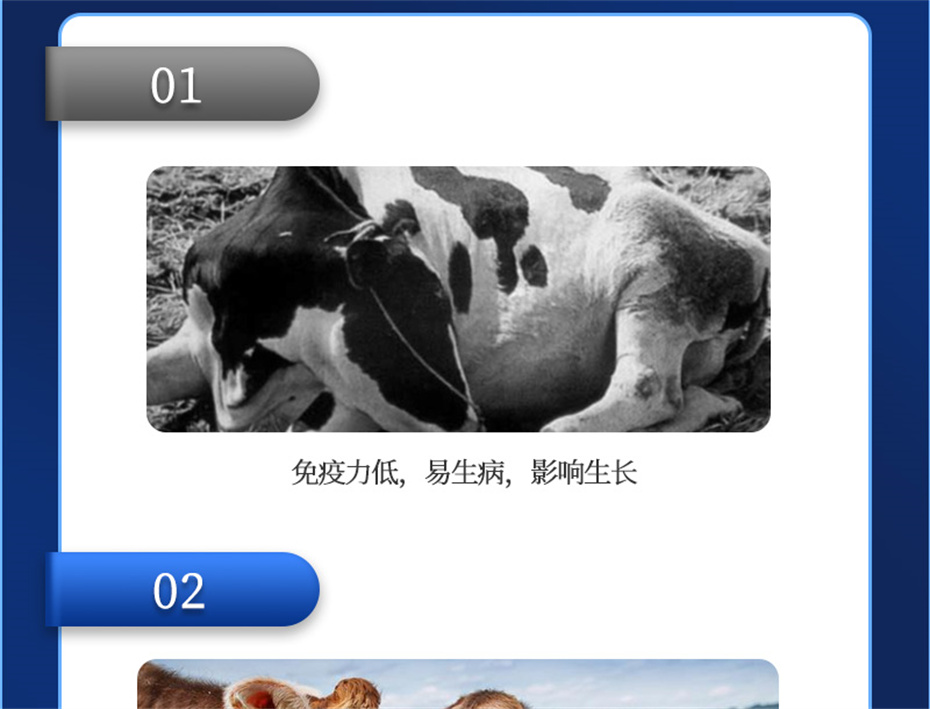 ���ӹ�����ҳ����ţ���������Ӽ�����Ѫţ���Ʒ����