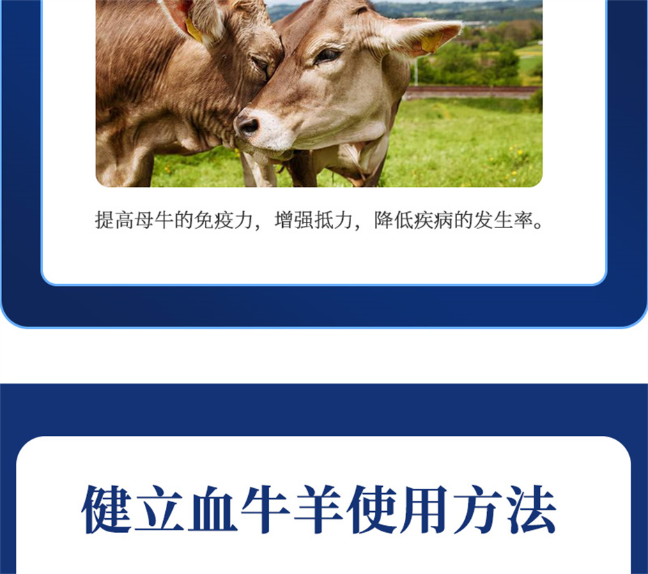 ���ӹ�����ҳ����ţ���������Ӽ�����Ѫţ���Ʒ����