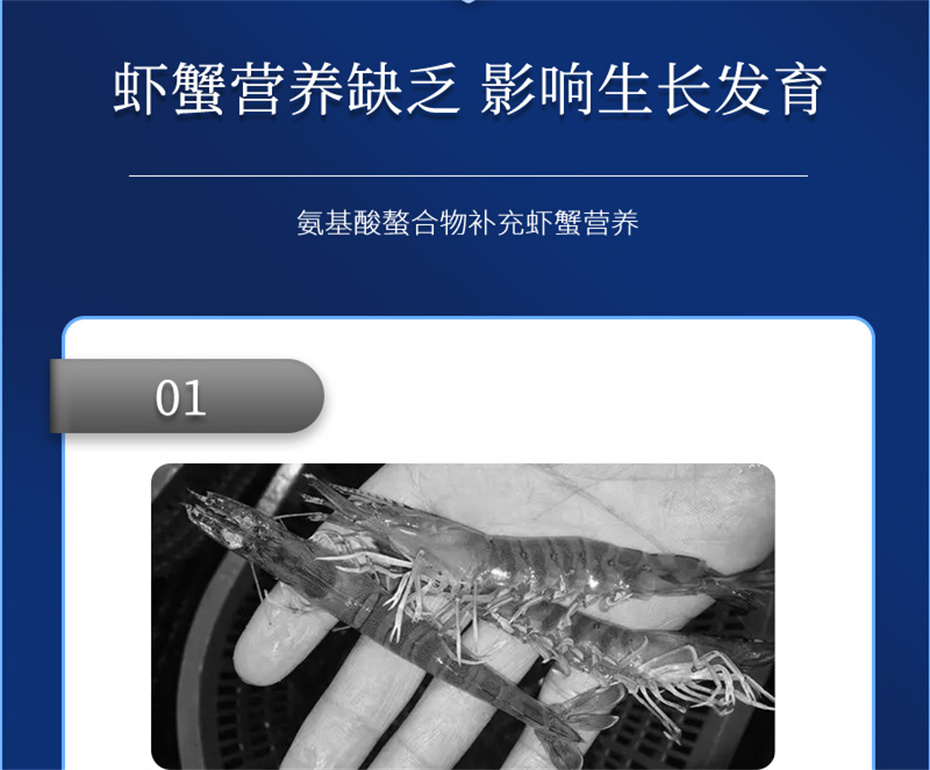 ���ӹ�����ҳ����ˮ���������Ӽ�Ϻ������Ʒ����