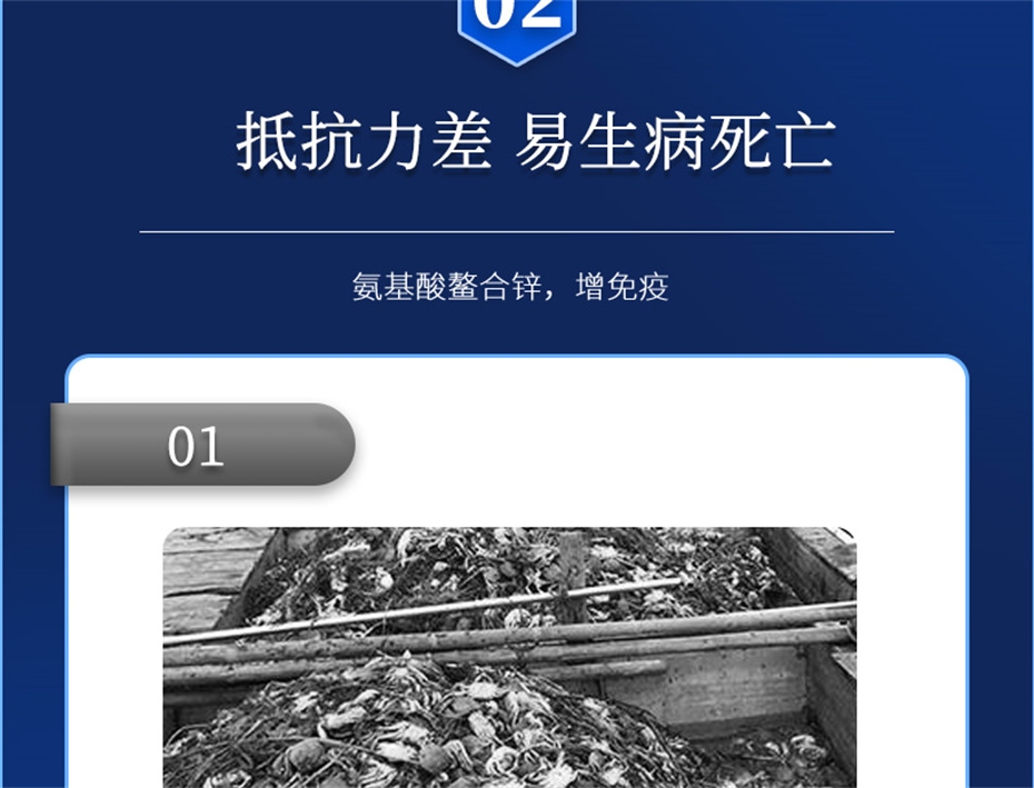 ���ӹ�����ҳ����ˮ���������Ӽ�Ϻ������Ʒ����