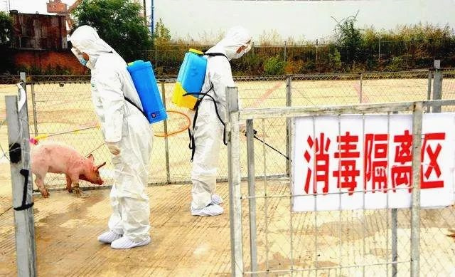 ���������ж�֪ͨ