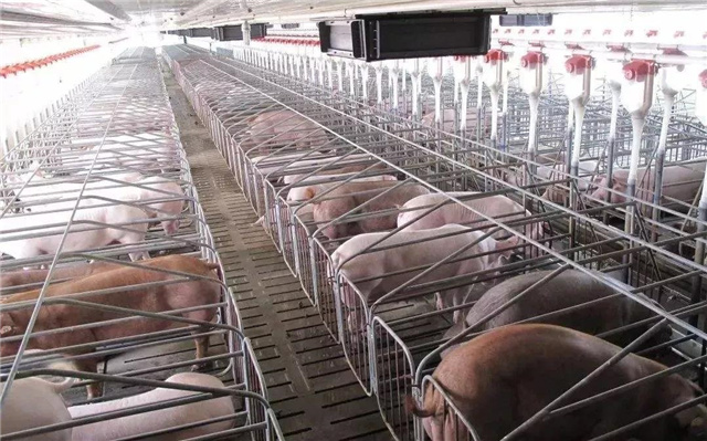 �������Ӽ�