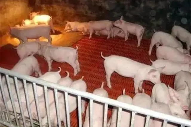 �����������Ч�����������