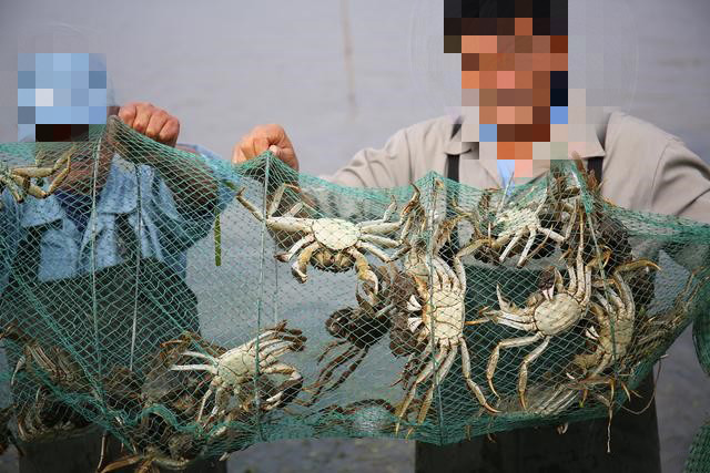 �л�΢��Ԫ�غ�������