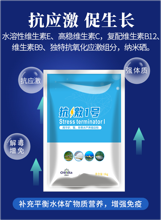 ���ӹ�����ҳ����1��