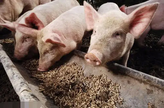 �������Ӽ�������