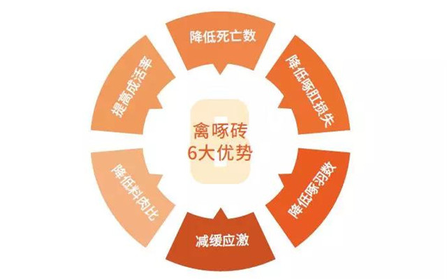 �������Ӽ�