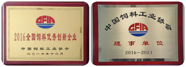 ȫ���������㴴����ҵ