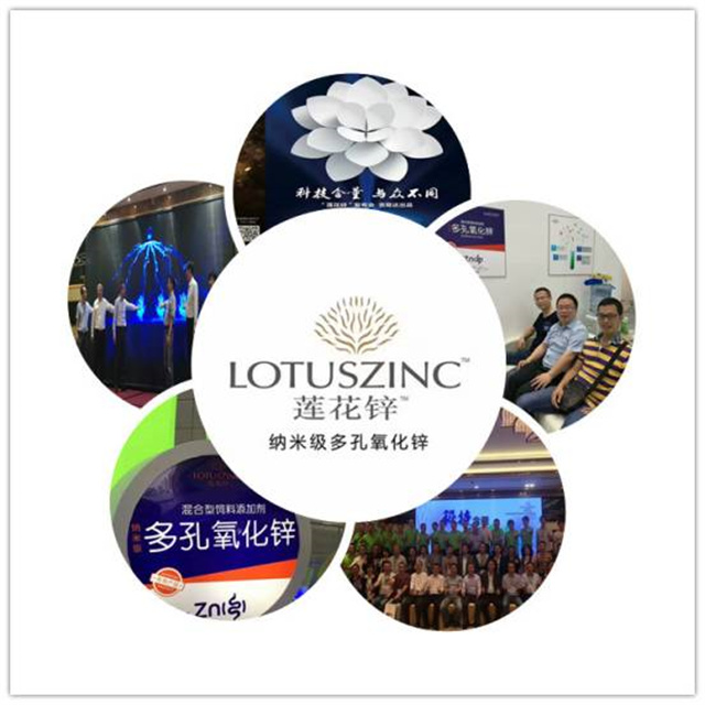 ���ӹ�����ҳ�������п