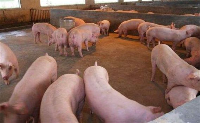 ��������-����ʡ��