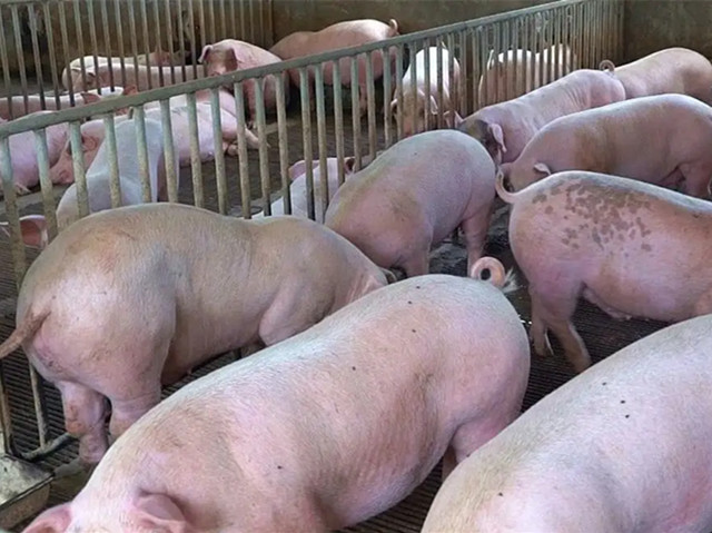 ������һ��Ҫ֪���ĸ�Ч�����ƽ���