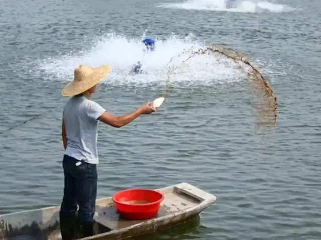 ��Ϻ���Ƶ�ʱ��