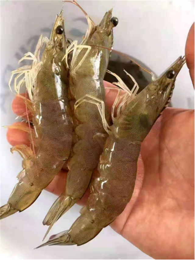 ��Ϻ�л�΢��Ԫ���ٲ���