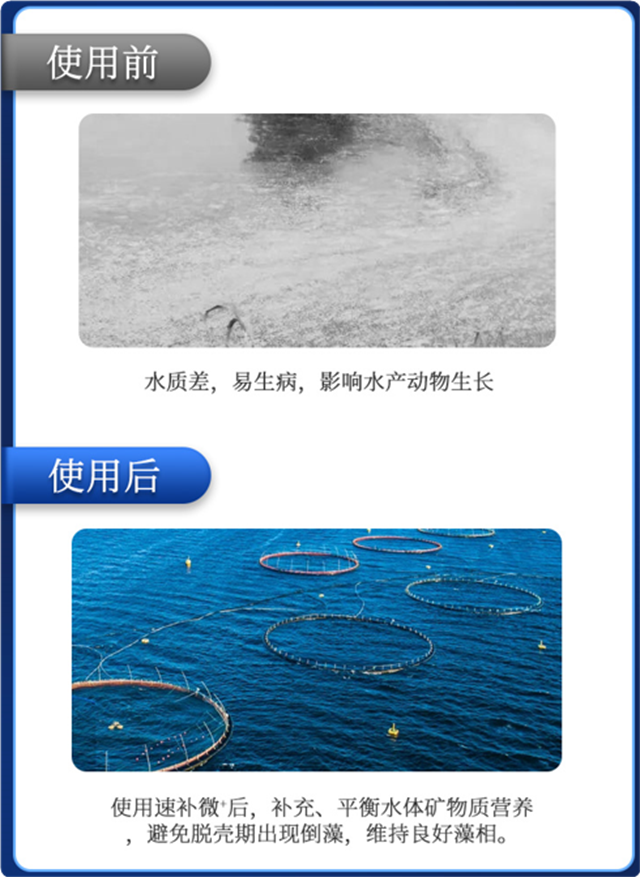 ���ӹ�����ҳ�л�΢��Ԫ���ٲ�΢+��Ϻ����Ч��