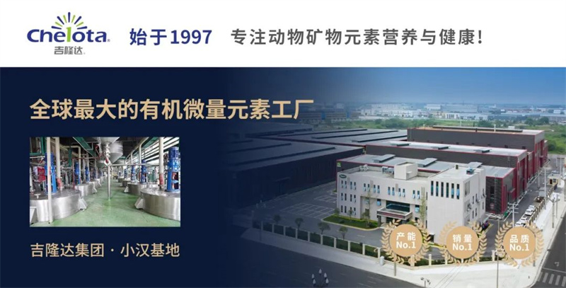 ���ӹ�����ҳ�л�΢��Ԫ�ع���