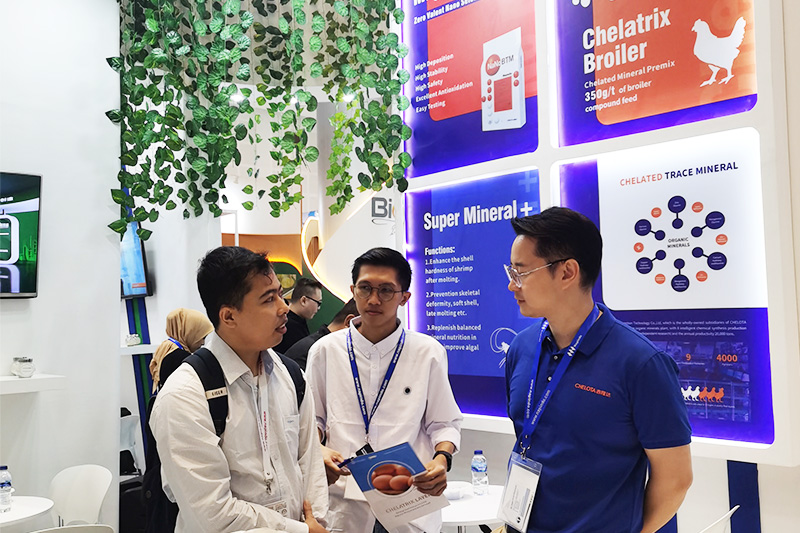 ���ӹ�����ҳ��չӡ���������չ