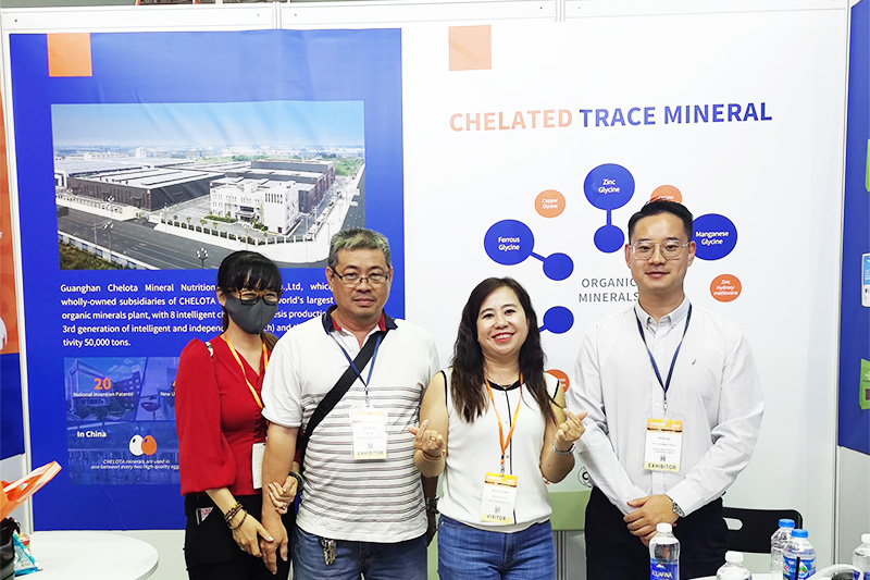 ���ӹ�����ҳ��չԽ�Ϲ��ʼ�������չ