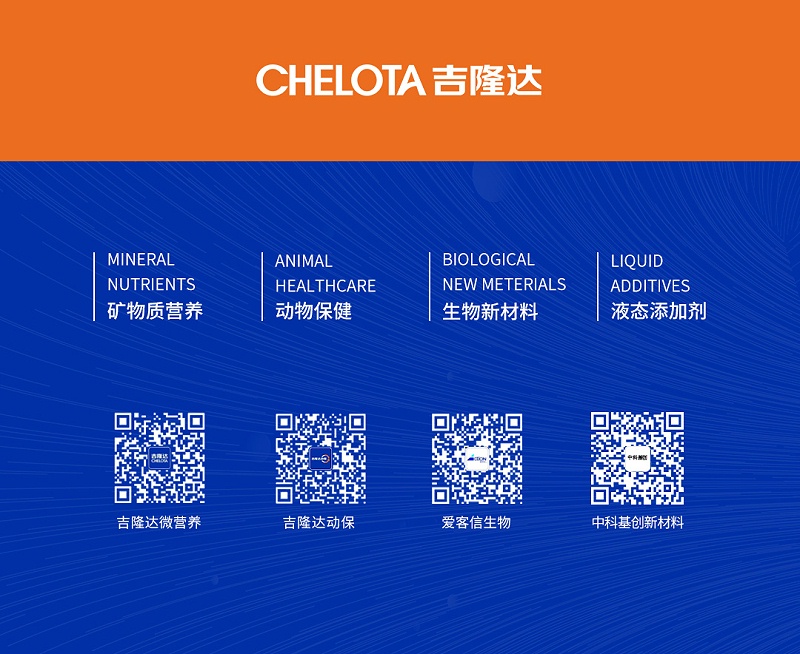 ���ӹ�����ҳ����