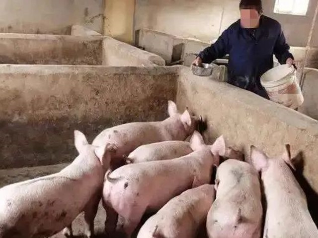 ������������