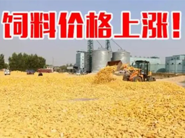 �ں����ϼ۸��ٴ����������ϳ�Ҳ�п࣡�ﶬ������Ҫ�Եø�������