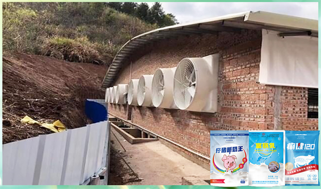 ���ӹ�����ҳ�����������Ӽ�