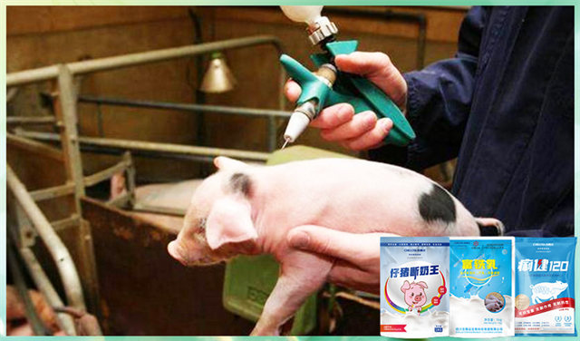 ���ӹ�����ҳ�����������Ӽ�