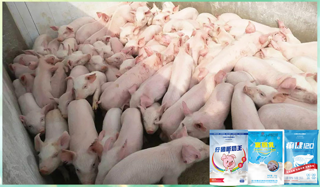 ���ӹ�����ҳ�����������Ӽ�