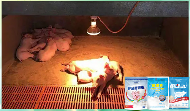 ���ӹ�����ҳ�����������Ӽ�