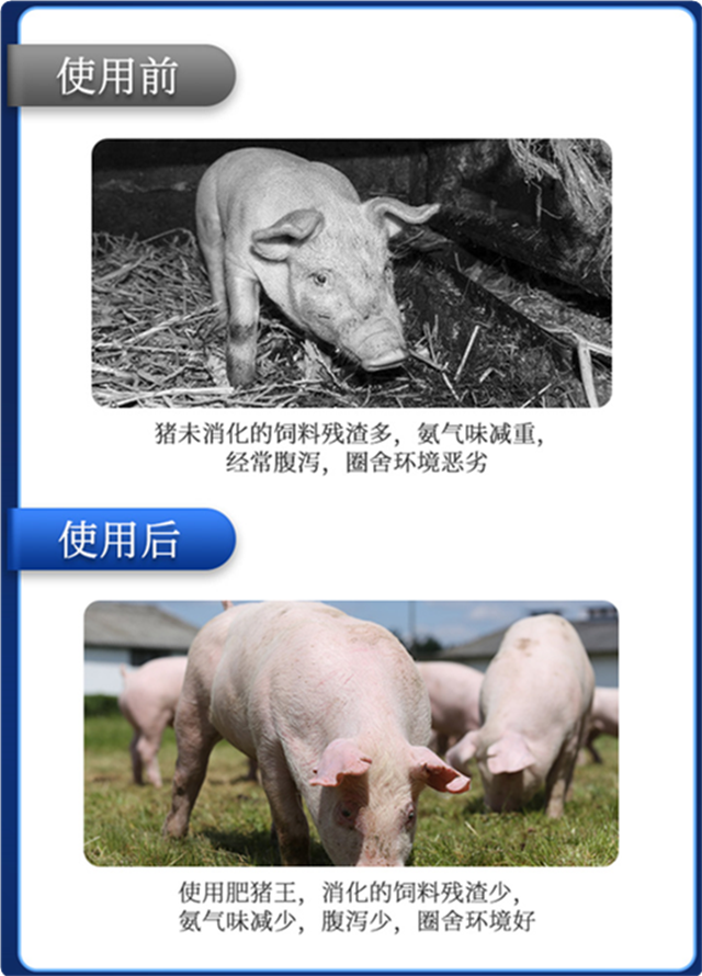 ���ӹ�����ҳ-������ʹ��Ч��