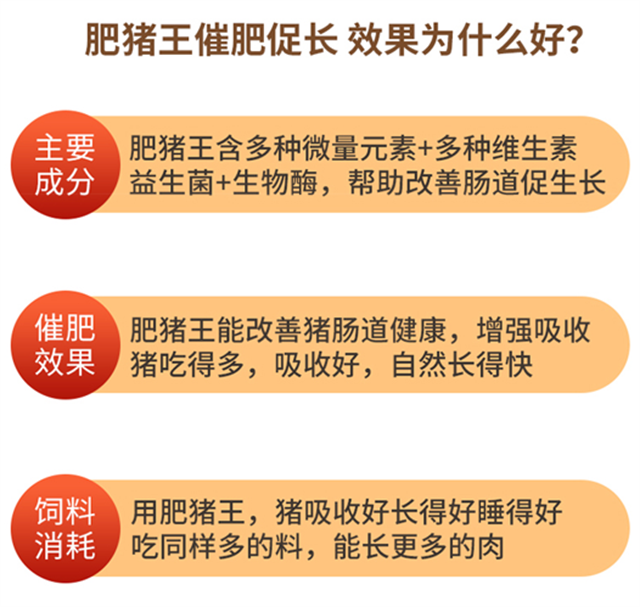 ���ӹ�����ҳ-������ʹ��Ч��Ϊʲô��