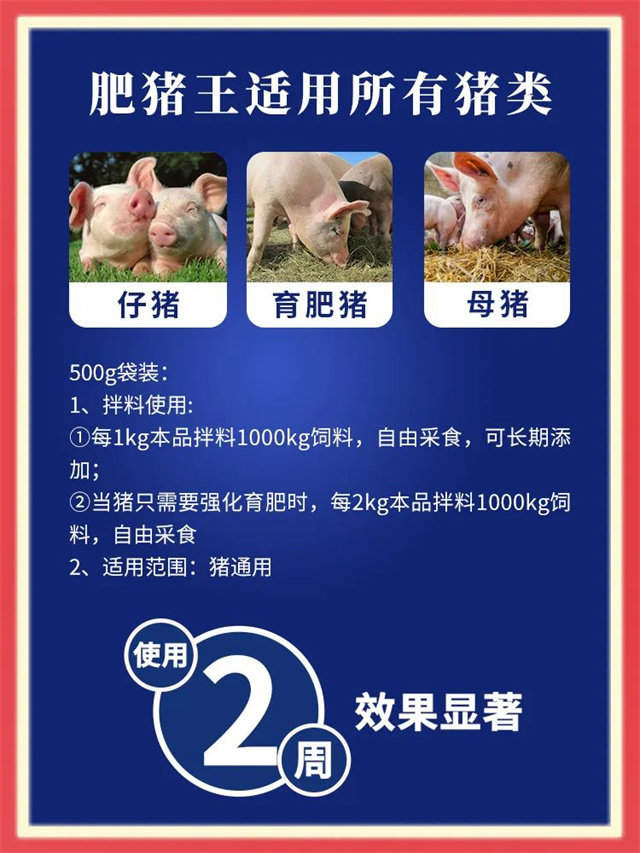 ���ӹ�����ҳ-�������÷�