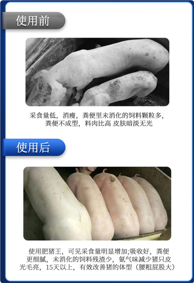 ���ӹ�����ҳ-������ʹ��Ч��