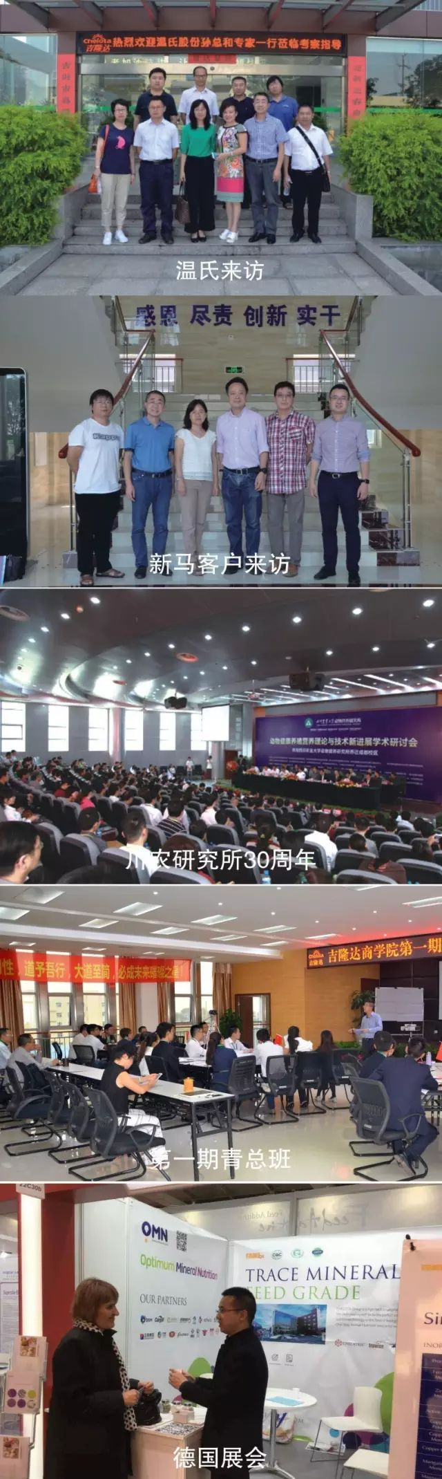 �л�΢���������ӹ�����ҳ2016���¼�