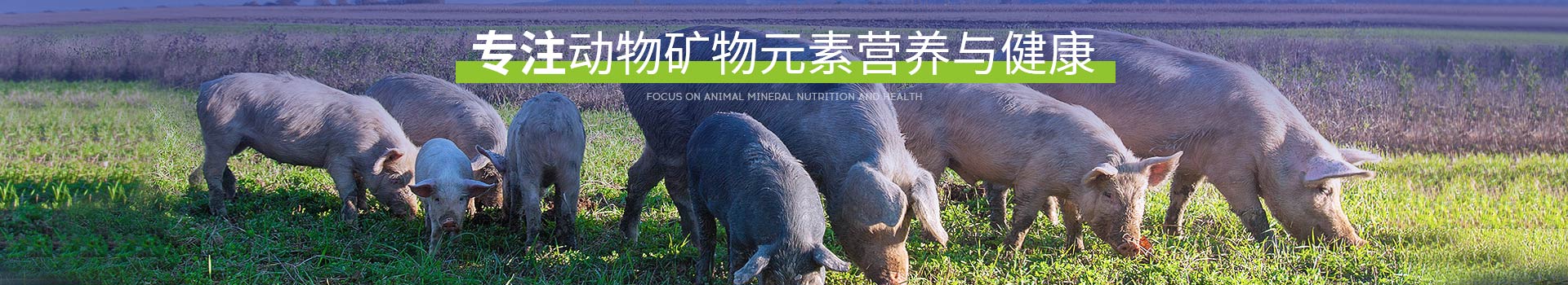 �߽����ӹ�����ҳ